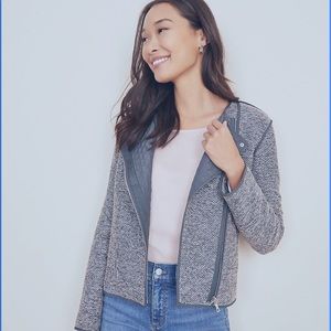 NWT Ann Taylor Petite Moto Jacket